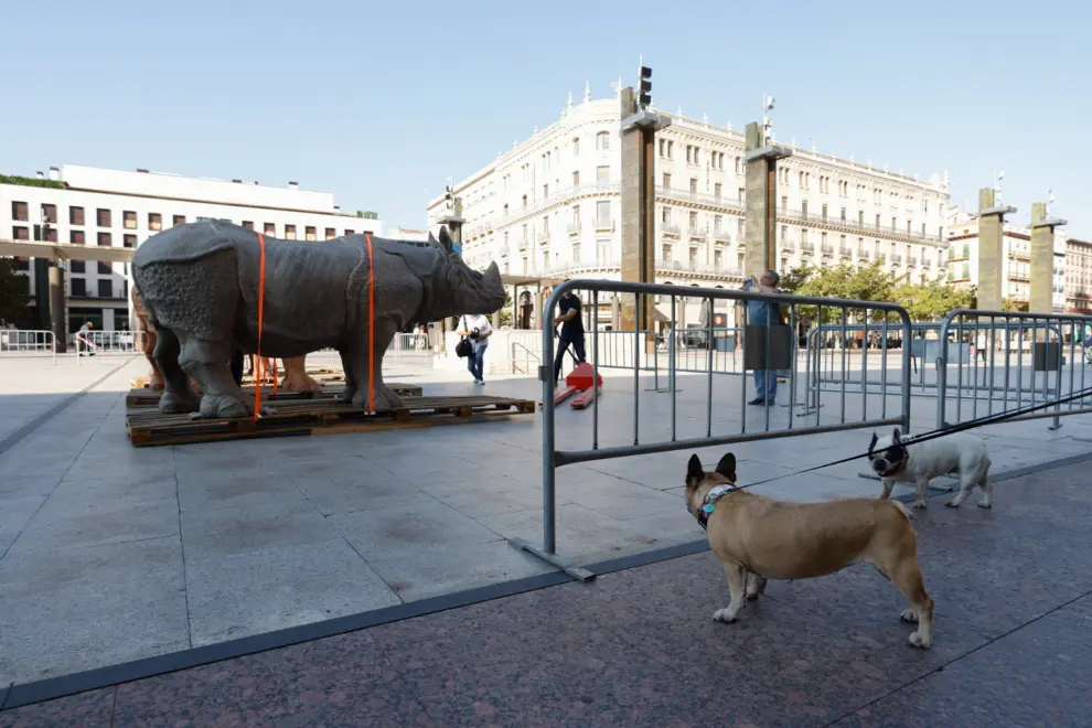Fotos de los rinocerontes de Roberto Fabelo, que toman la plaza del Pilar