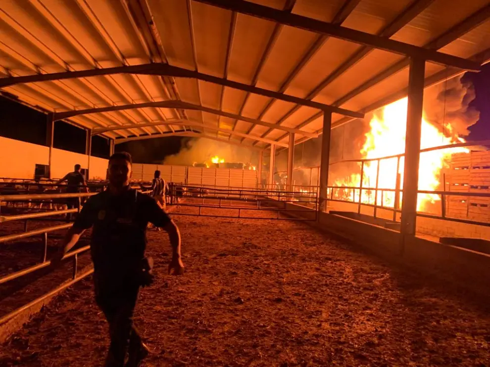 La rápida actuación de los equipos de emergencias y de los trabajadores permitió poner a salvo del fuego a 112 animales en Fraga.