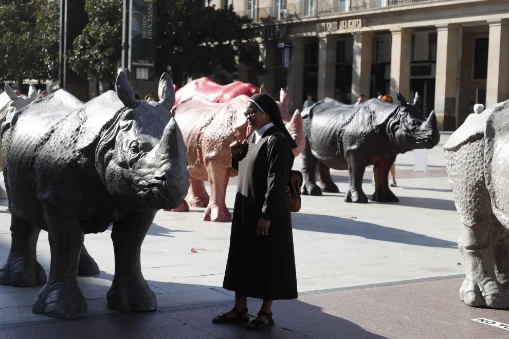 Fotos de la inauguración de los rinocerontes de Roberto Fabelo