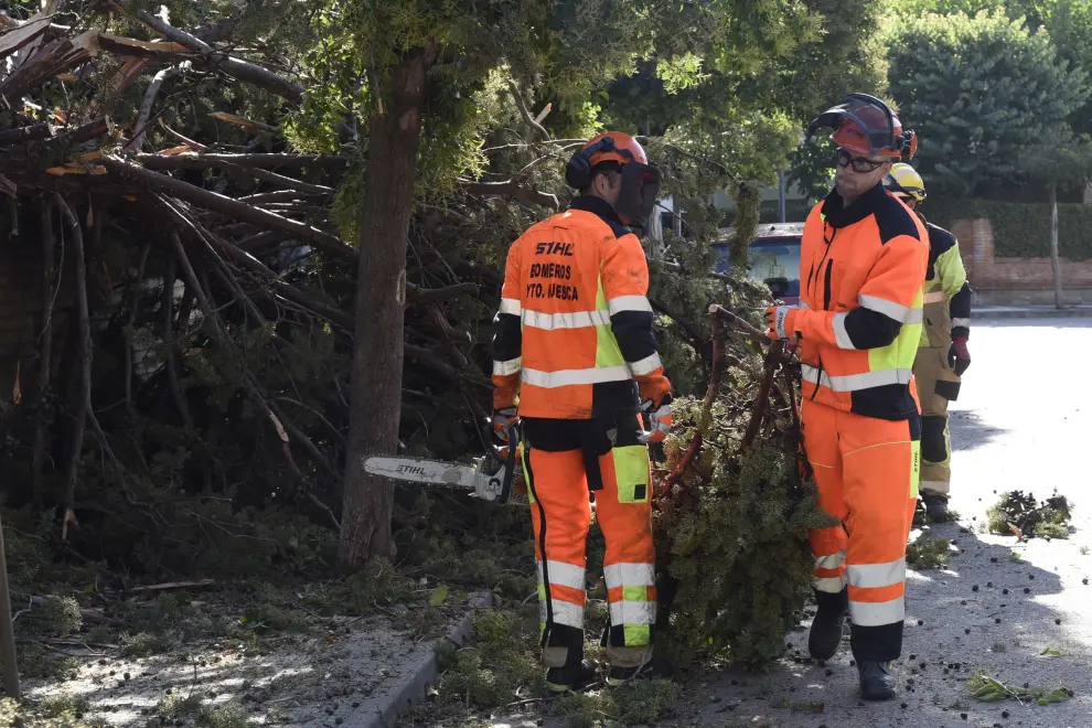 Empleados del Ayuntamiento y de la empresa de limpieza Grhusa retirando ramas y árboles caídos.