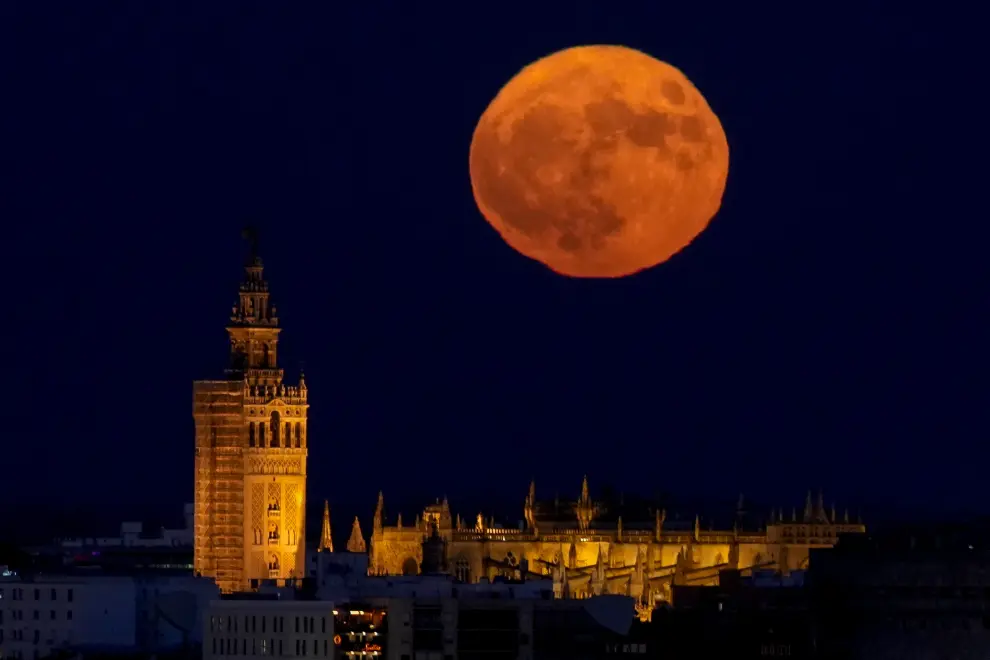 La luna de Esturión sale por detrás de la Giralda y la Catedral de Sevilla (España).