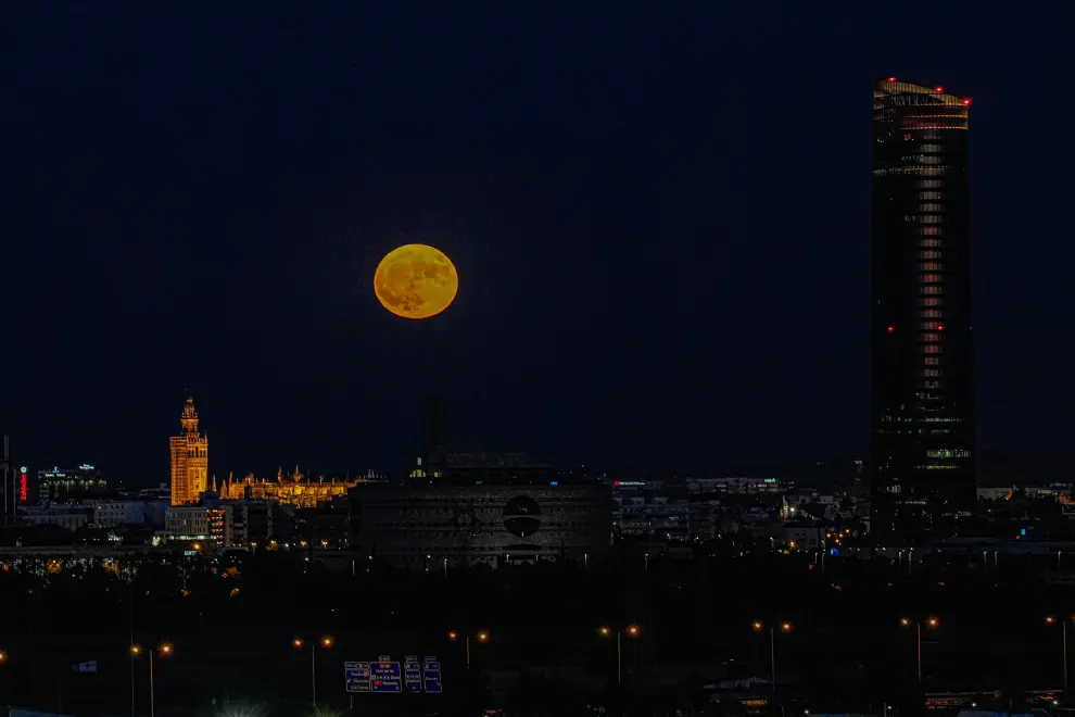 La luna de Esturión sale por detrás de la Giralda y la Catedral de Sevilla (España).