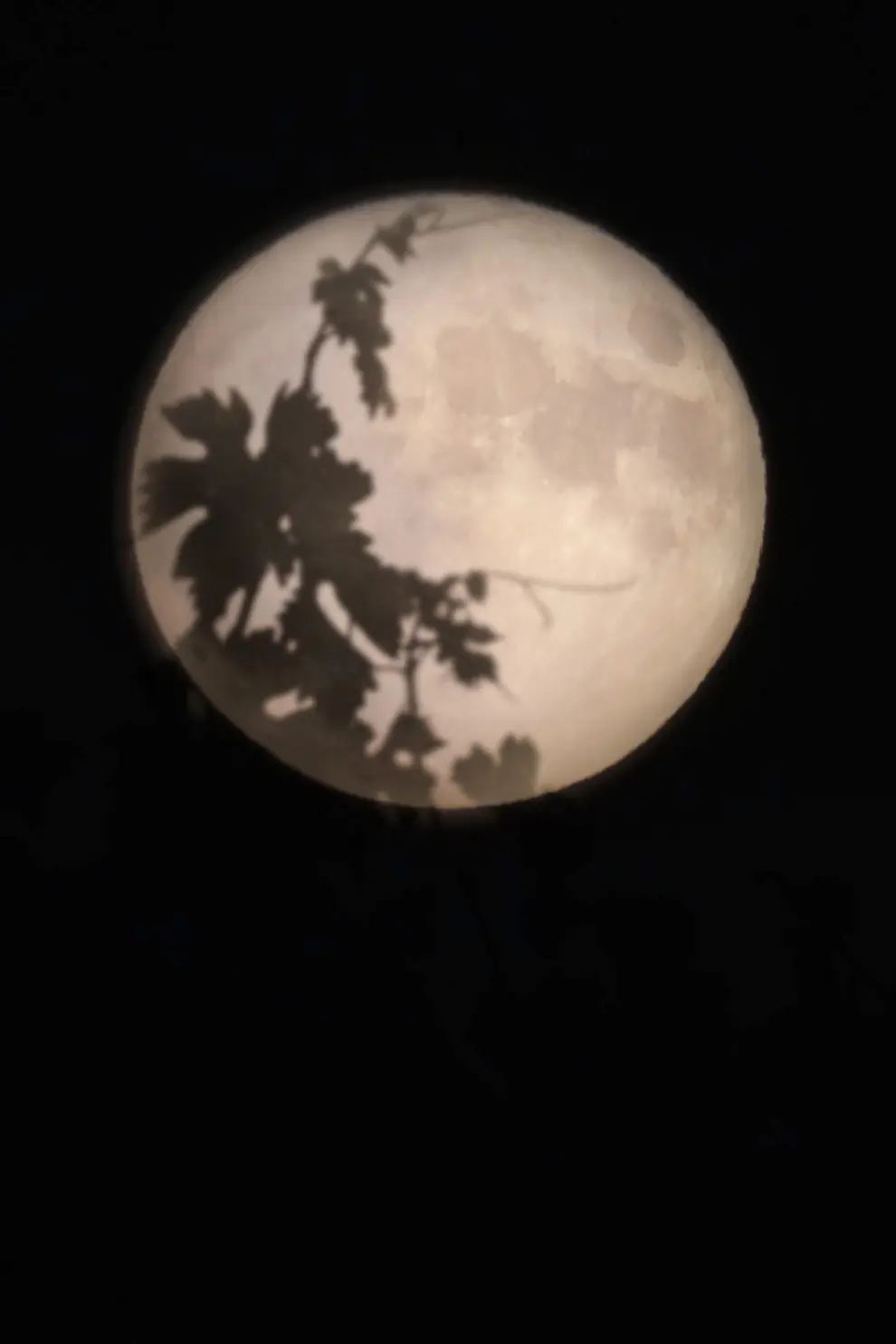 La gran Luna de Esturión o superluna de agosto en su plenitud vista este martes desde Logroño.