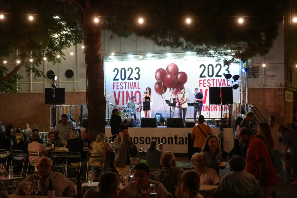 Festival del Vino Somontano.