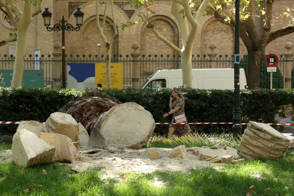 Tala de palmeras en la plaza de los Sitios de Zaragoza.