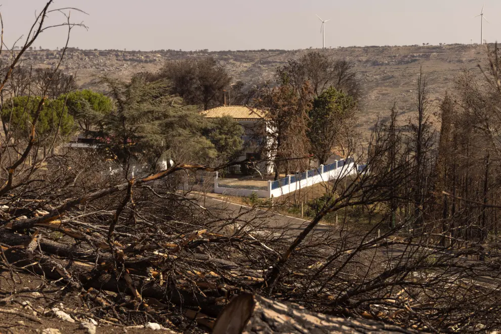 Estado de los términos que resultaron afectados por el incendio que se inició en Añón hace un año.