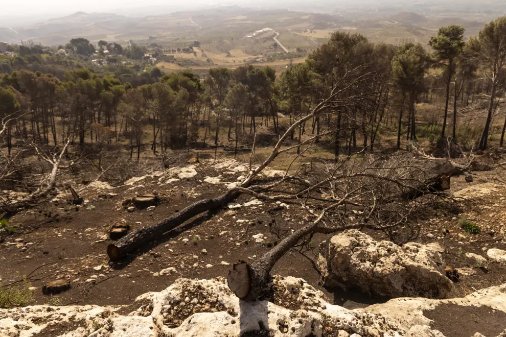 Estado de los términos que resultaron afectados por el incendio que se inició en Añón hace un año.
