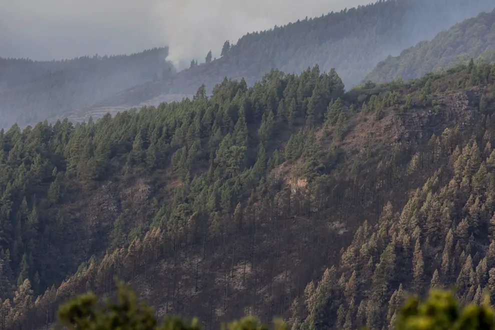Los bomberos están cerca de estabilizar el incendio en Tenerife, si bien ha empeorado la calidad del aire.