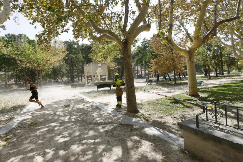 La fuertes rachas de viento obligan a cerrar los parques de Zaragoza