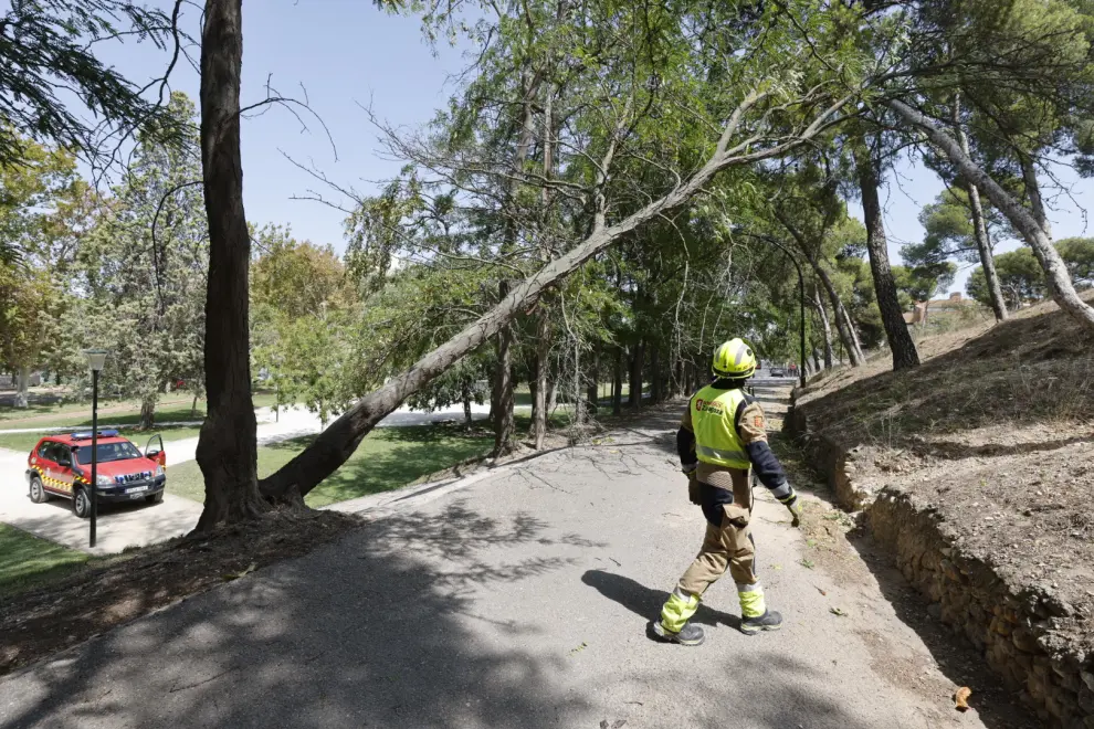 La fuertes rachas de viento obligan a cerrar los parques de Zaragoza