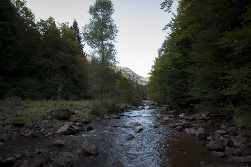 El río Aragón Subordán a su paso por el Camping Selva de Oza