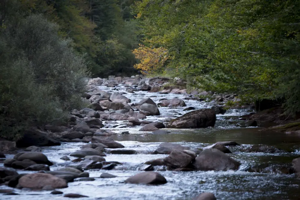 El río Aragón Subordán a su paso por el Camping Selva de Oza