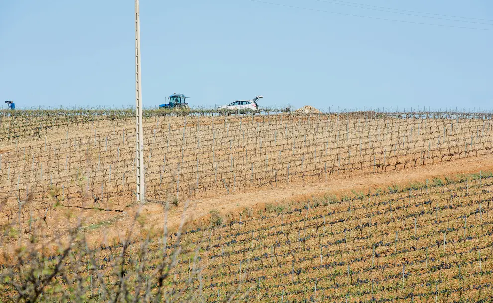 El pedrisco deja daños en cerca de 700 hectáreas de viñedo sin vendimiar entre Paniza, Encinacorba y Cariñena
