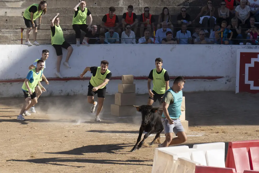 Gran Prix en la plaza de Toros en las fiestas de Albalate del Arzobispo_4. Foto Antonio Garcia Bykofoto 25 09 23[[[FOTOGRAFOS]]]