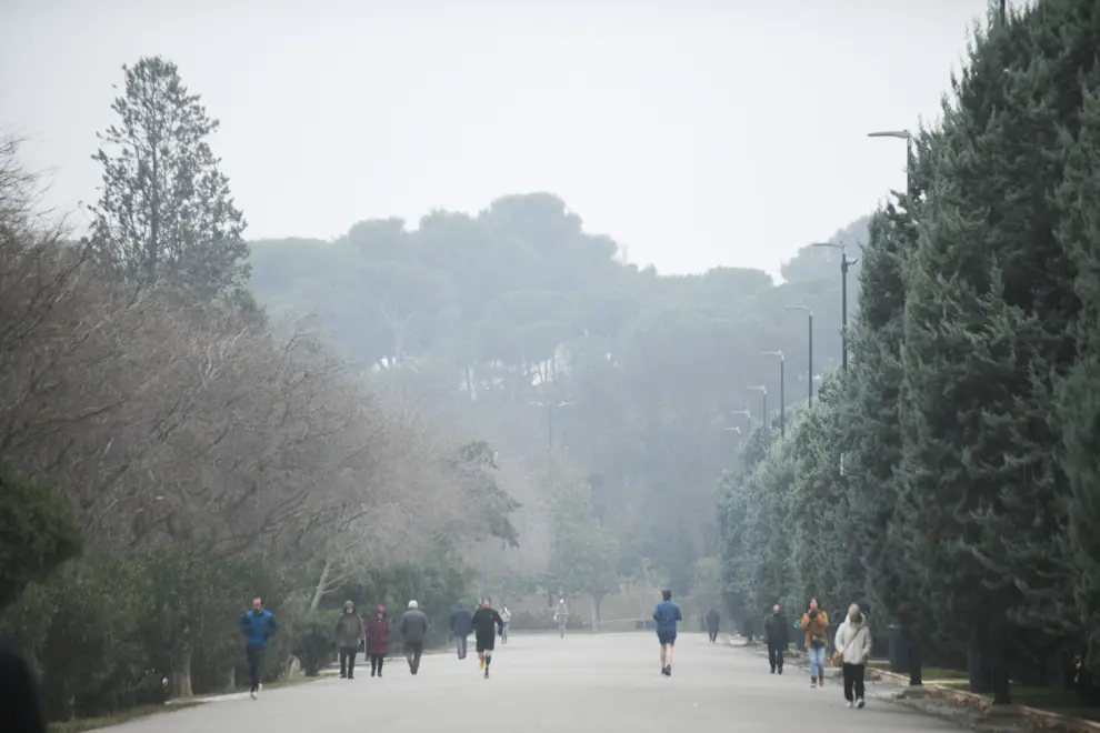 Fotos de frío en Zaragoza, que ha activado el aviso por bajas temperaturas