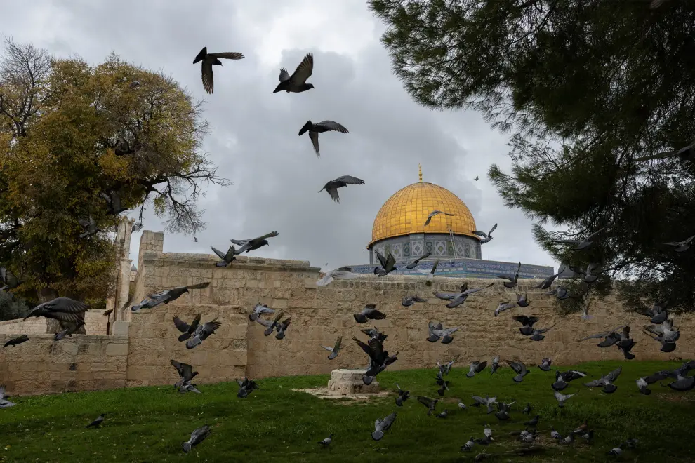 Los pájaros sobrevuelvan Al Aqsa, el lugar más conflictivo y sagrado de Jerusalén.