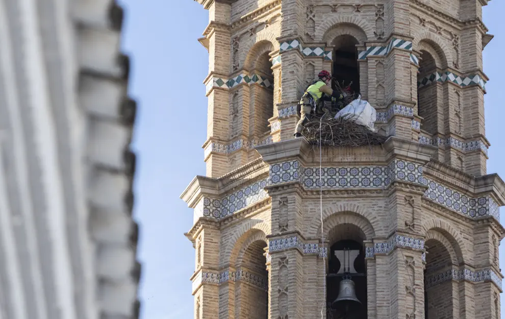 Los Bomberos retiran el nido de cigüeña de la torre mudéjar de la Iglesia de Nuestra Señora de la Asunción de Villamayor de Gállego.