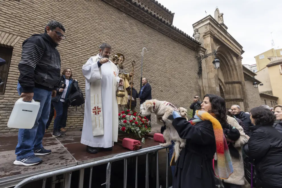 Bendición de animales por San Antón en la iglesia de San Pablo, en Zaragoza