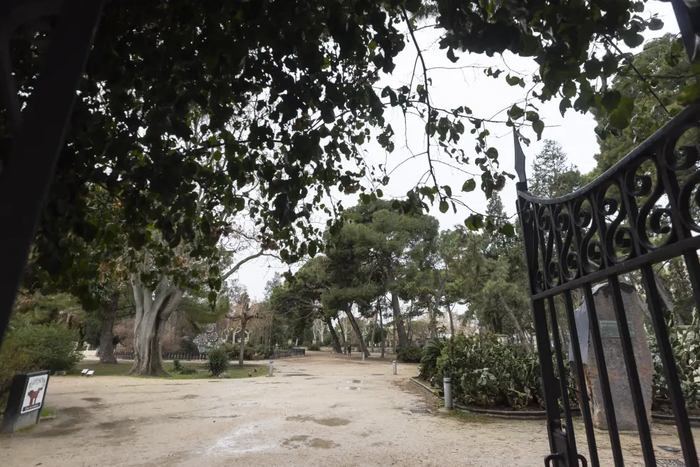 El Jardín Botánico del Parque Grande José Antonio Labordeta será rediseñado para potenciar la relación de las plantas y la salud.