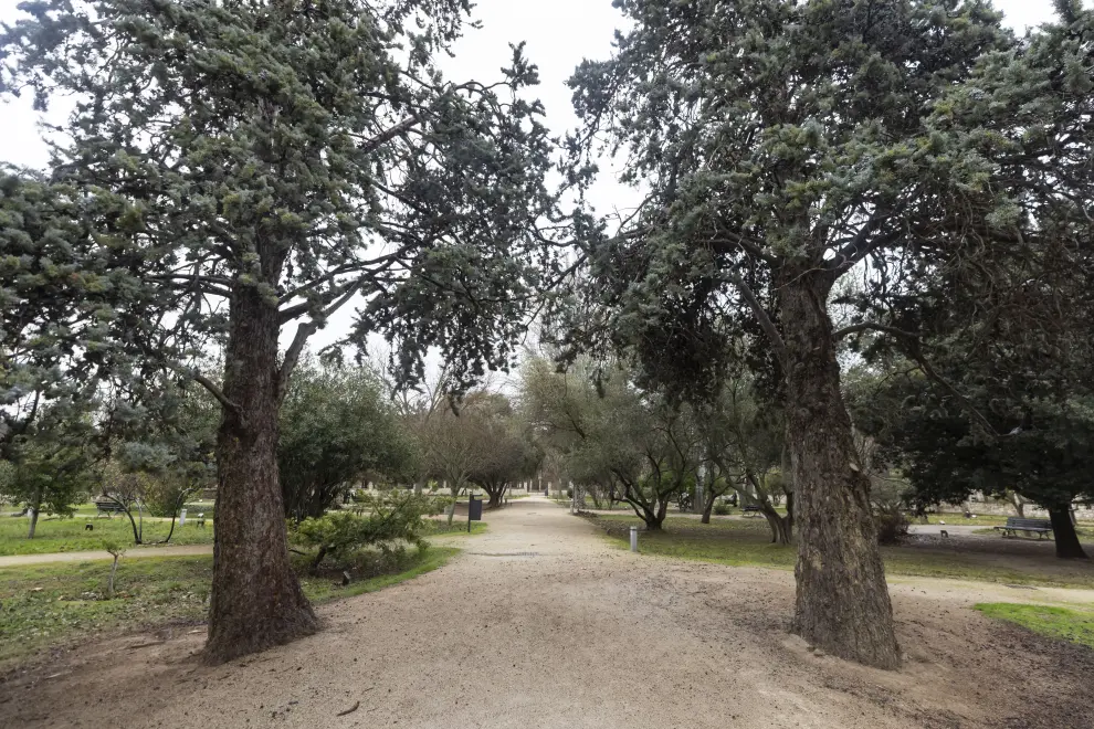 El Jardín Botánico del Parque Grande José Antonio Labordeta será rediseñado para potenciar la relación de las plantas y la salud.