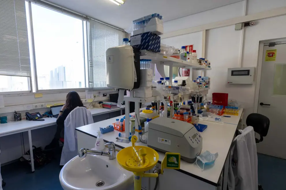 Laboratorios del Grupo de Genética de Microbacterias de la Universidad de Zaragoza