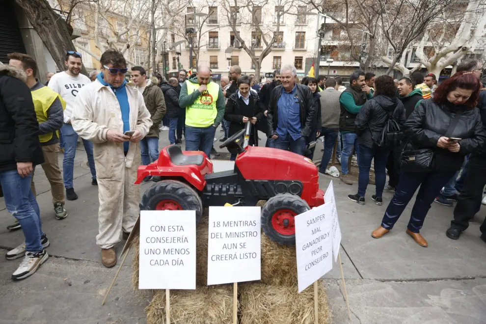 Protestas de las organizaciones agrarias UAGA, Asaja, UPA y Araga y Cooperativas agro-alimentarias de Aragón ante la consejería de Agricultura.