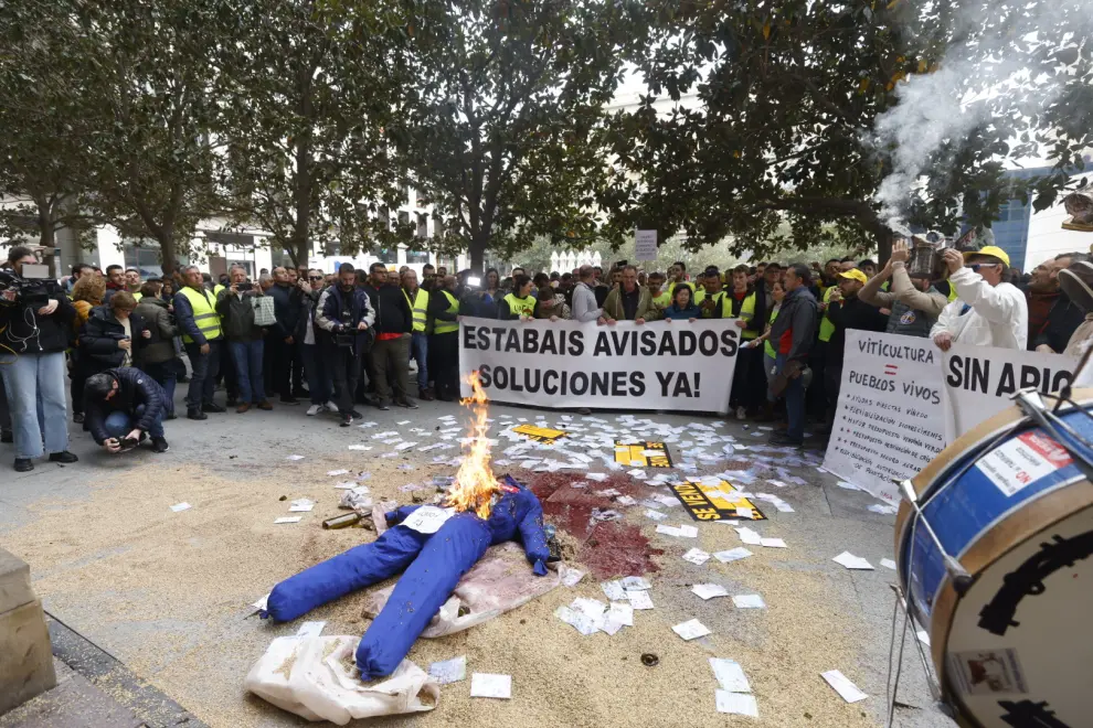 Los agricultores se manifiestan frente a la Delegación del Gobierno de Aragón en la Plaza del Pilar.