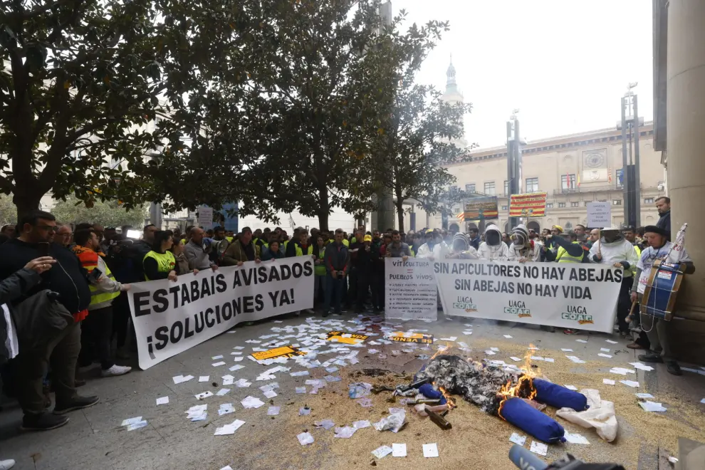 Los agricultores se manifiestan frente a la Delegación del Gobierno de Aragón en la Plaza del Pilar.
