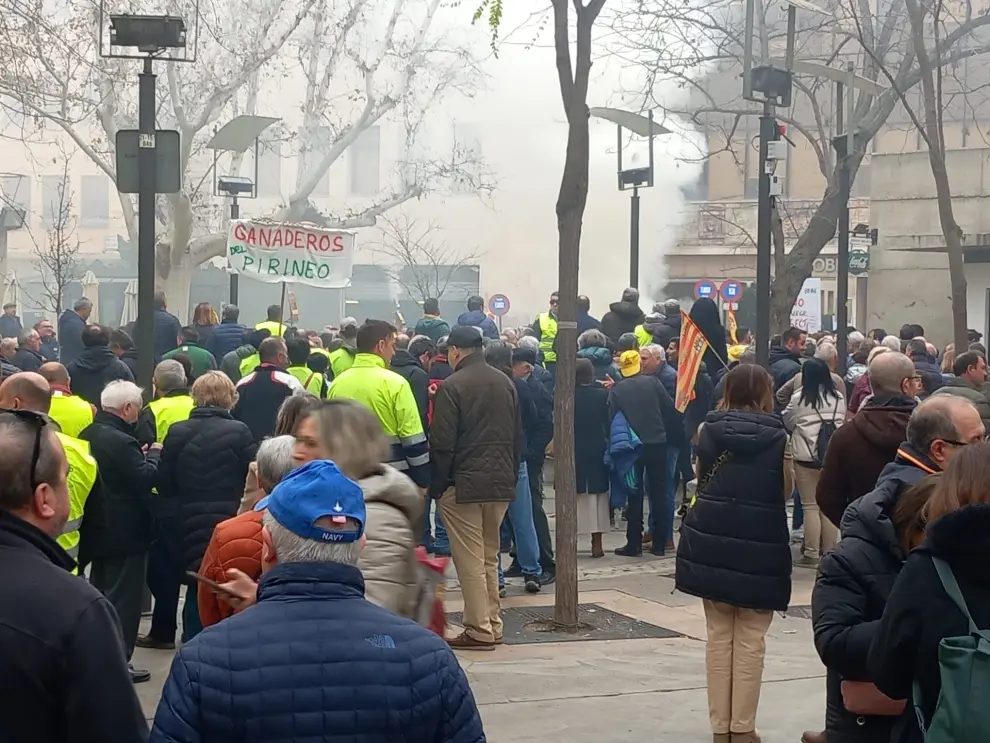 Protestas de las organizaciones agrarias UAGA, Asaja, UPA y Araga y Cooperativas agro-alimentarias de Aragón en la Plaza Pedro Nolasco en Zaragoza.
