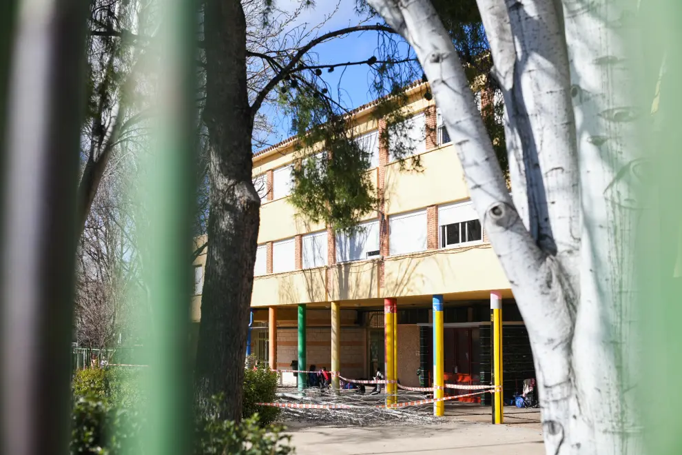 Una rama cae a la entrada del colegio.