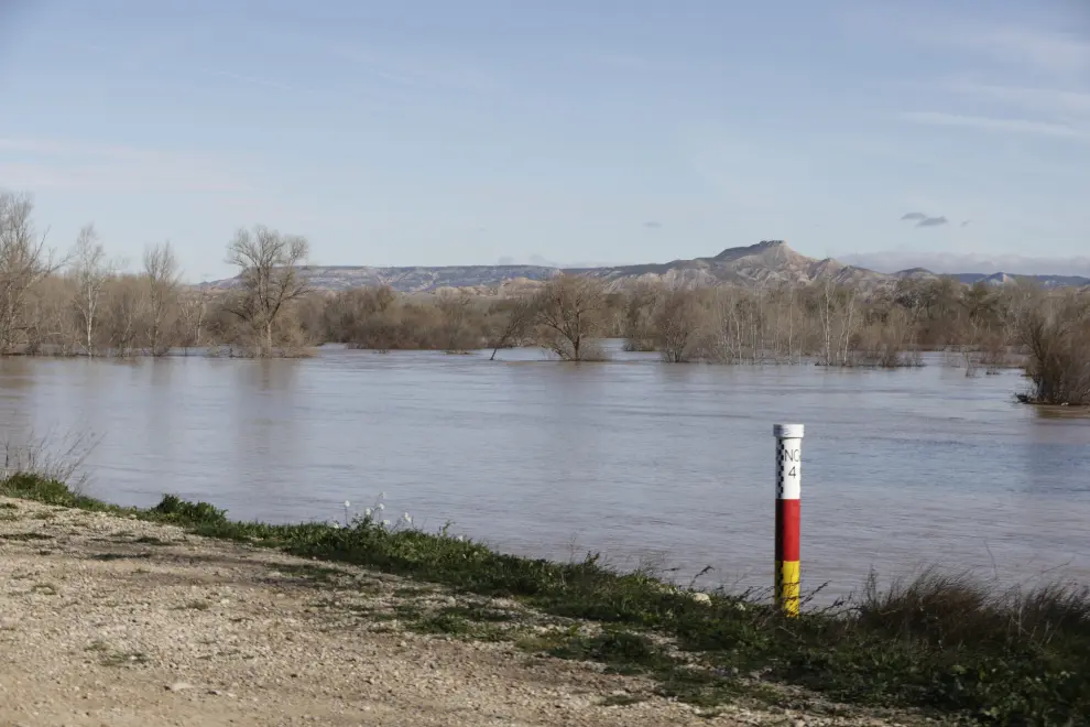 La crecida del Ebro anega ya la ribera en Zaragoza e inunda entre 400 y 500 hectáreas en Novillas.