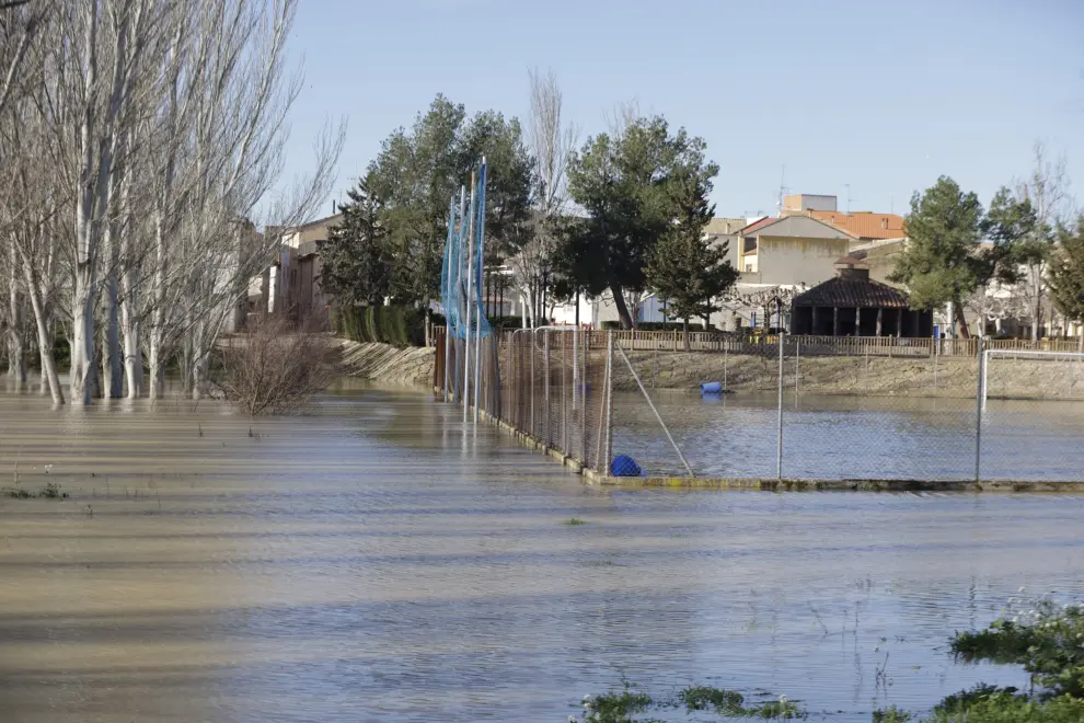 La crecida del Ebro anega ya la ribera en Zaragoza e inunda entre 400 y 500 hectáreas en Novillas.