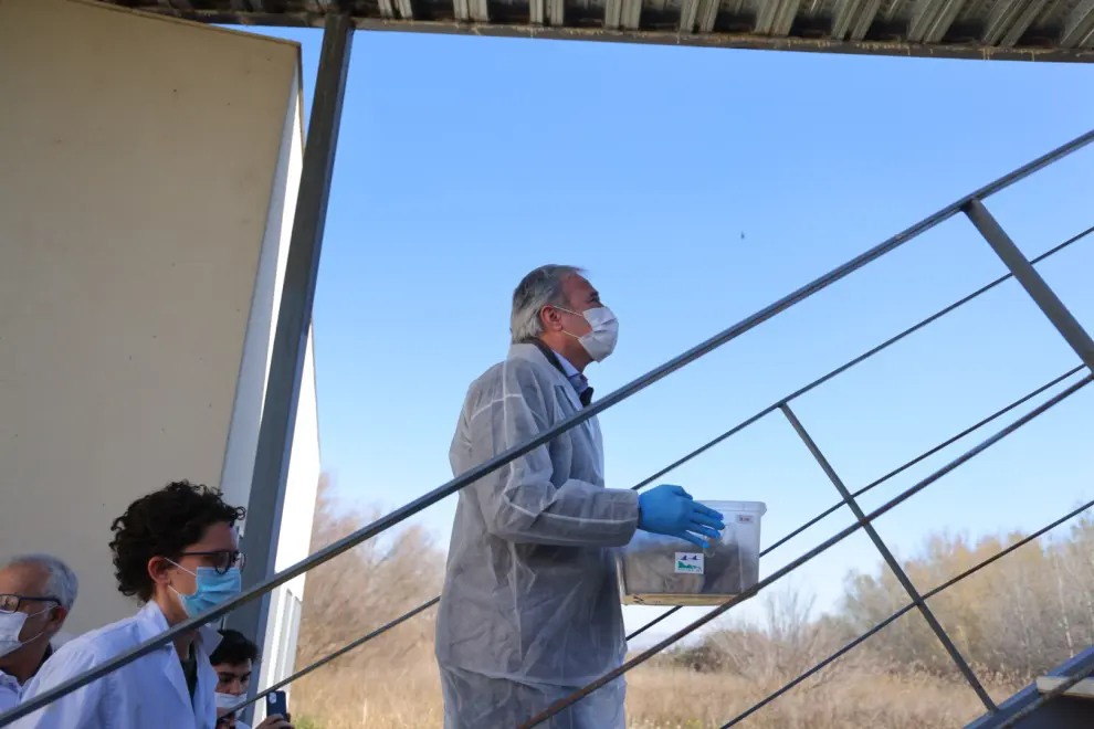 Azcón visita al Centro de Recuperación y Cría del Quebrantahuesos en Aislamiento Humano.