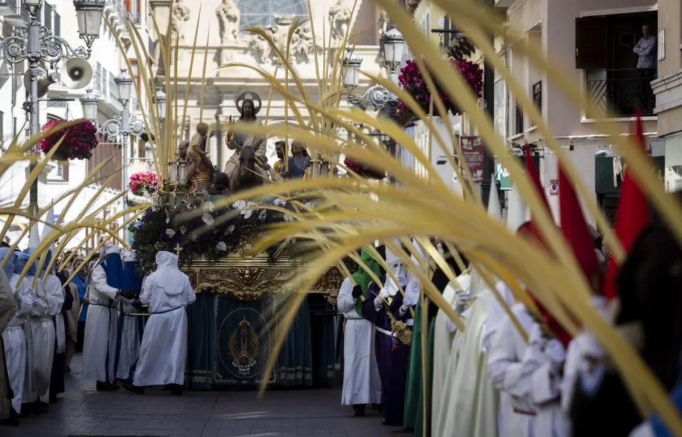 Semana Santa 2024: Procesión de las Palmas, Domingo de Ramos, de Zaragoza