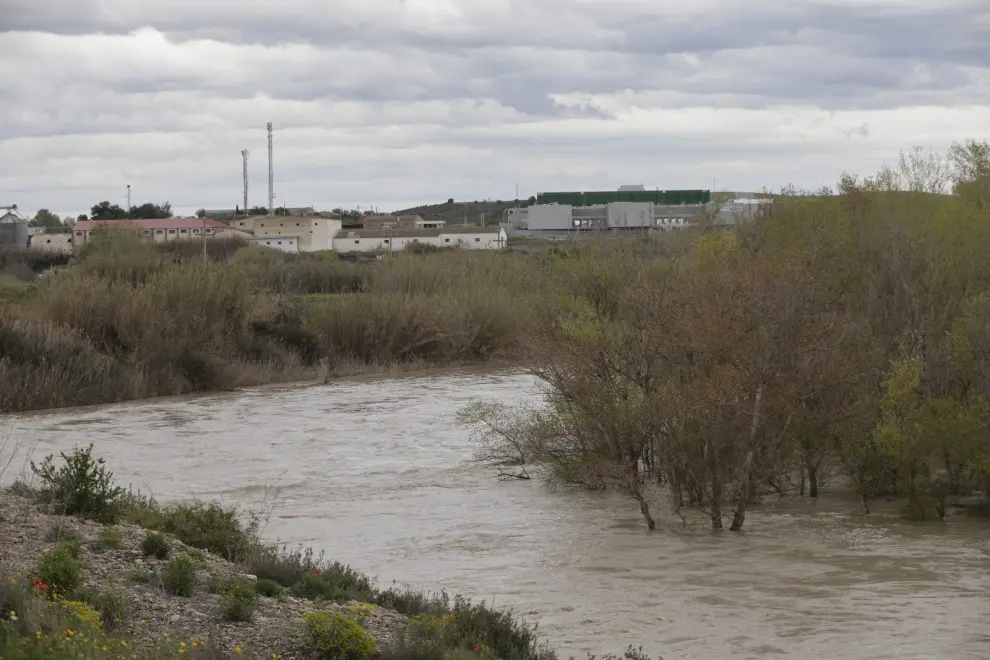 La crecida del Gállego obliga a desalojar a 25 familias en Peñaflor (Zaragoza).