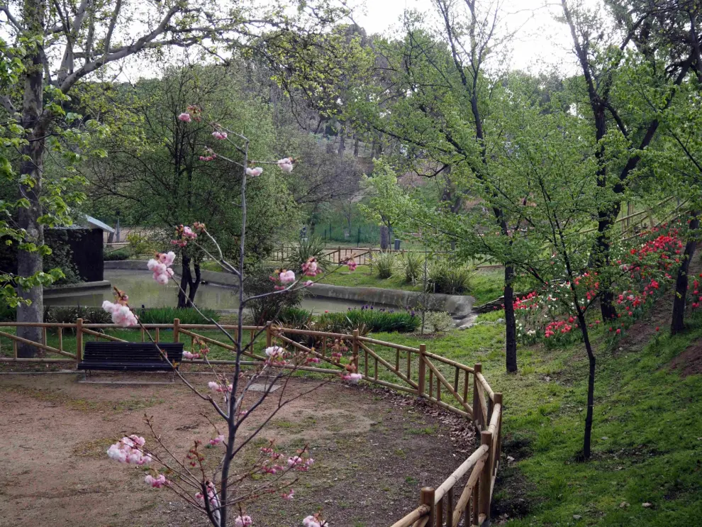 El jardín japonés del Parque Grande.