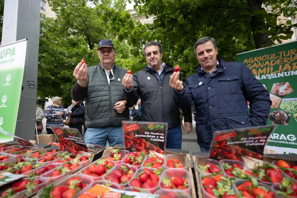 Protesta para pedir más consumo de fresa española en Zaragoza