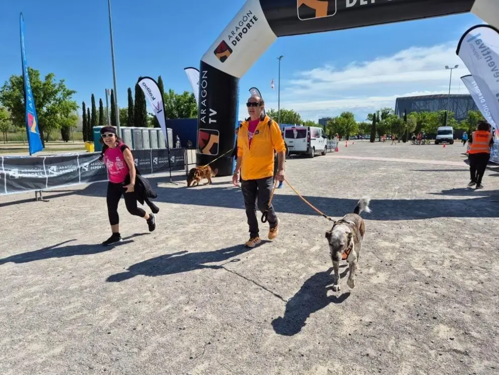 Participantes en la andada canina en Zaragoza