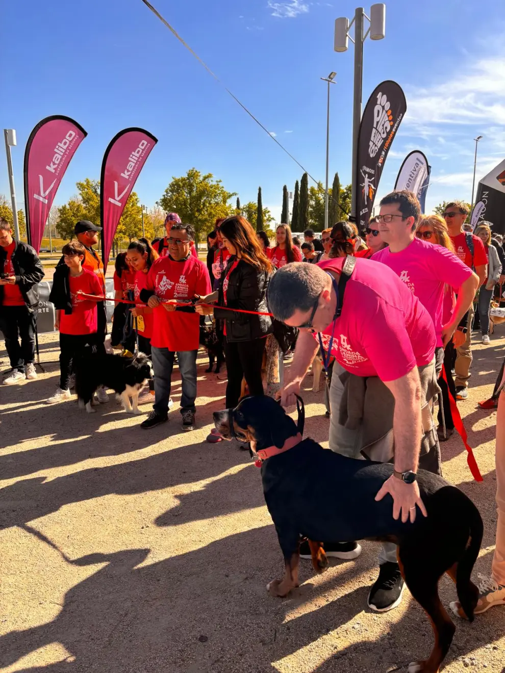 Participantes en la andada canina en Zaragoza