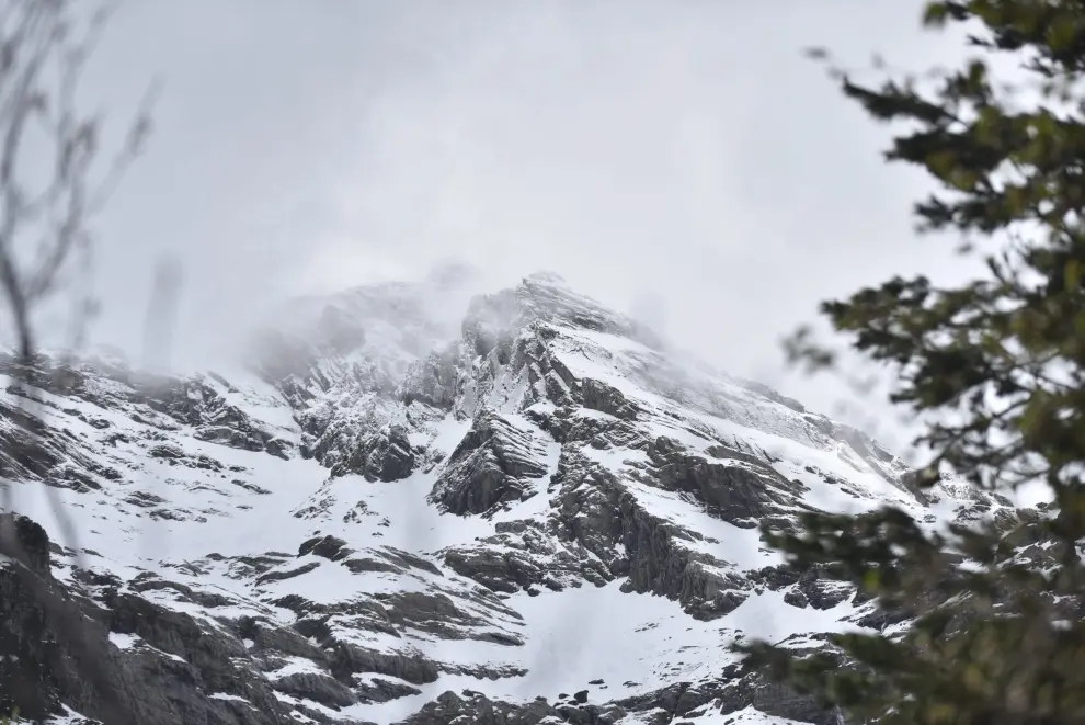 Imágenes de la cabecera del valle de Pineta, aún cubierta de nieve.