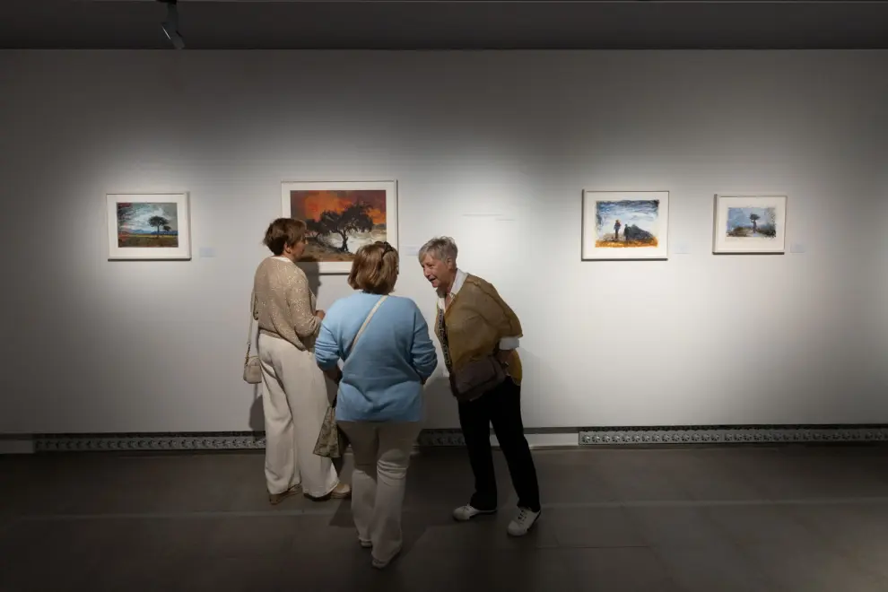 Celebración del Día de los Museos en Zaragoza