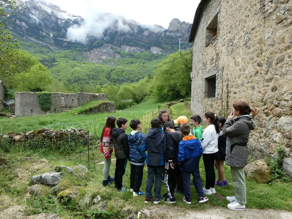 Imágenes de Búbal con los estudiantes que lo visitaban esta semana.