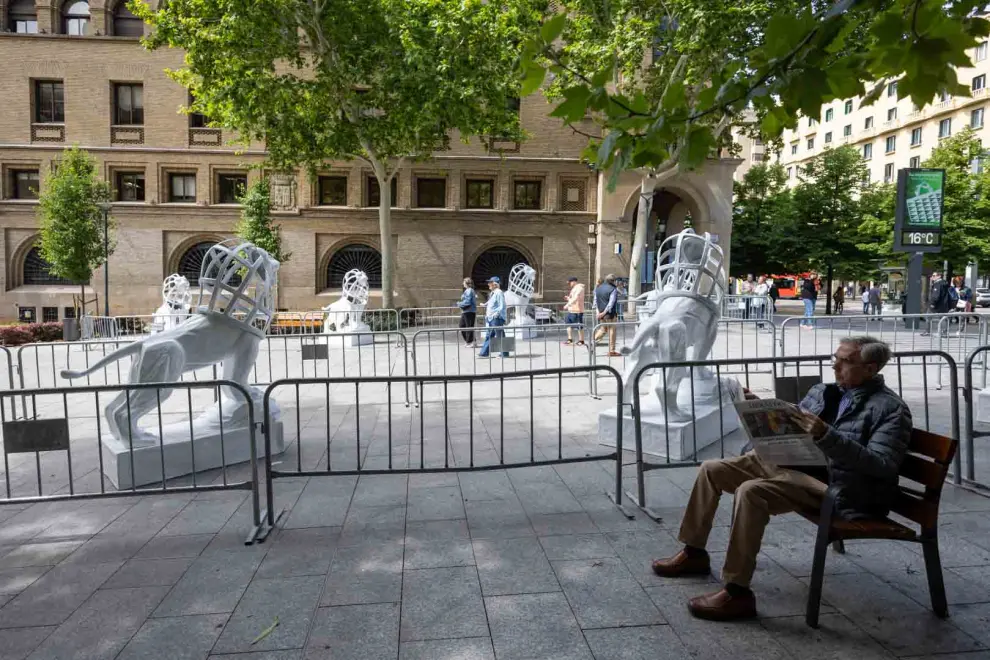 Leones en la plaza de Santa Engracia de Zaragoza