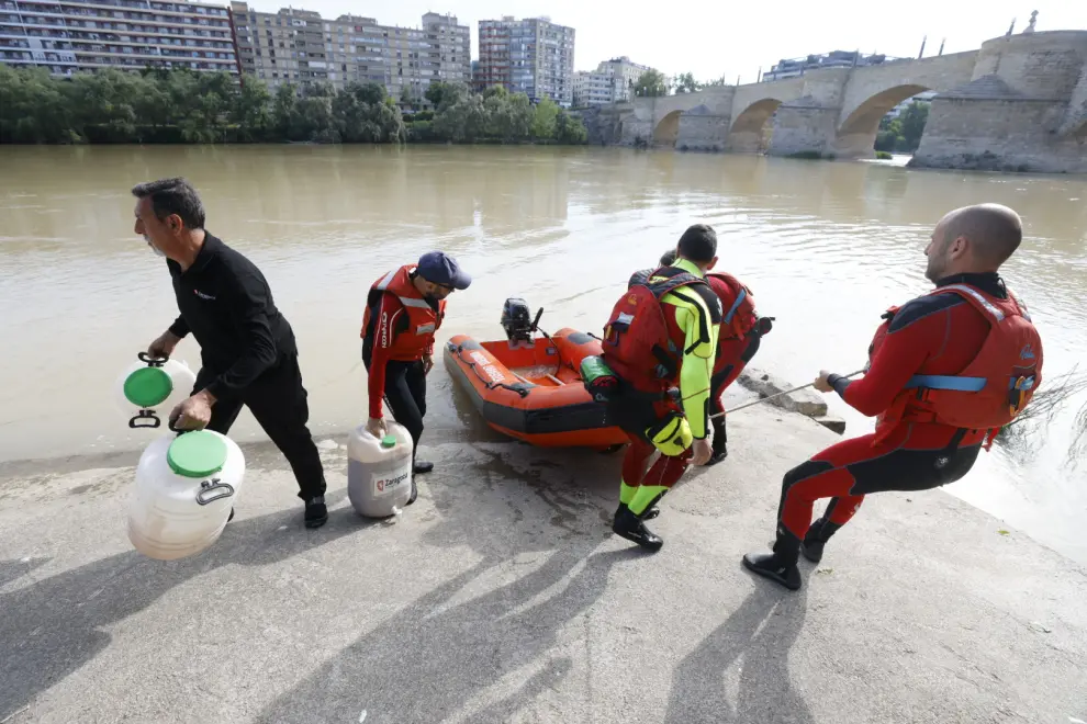 El Ayuntamiento ha comenzado este miércoles el tratamiento contra la mosca negra en el río Ebro.