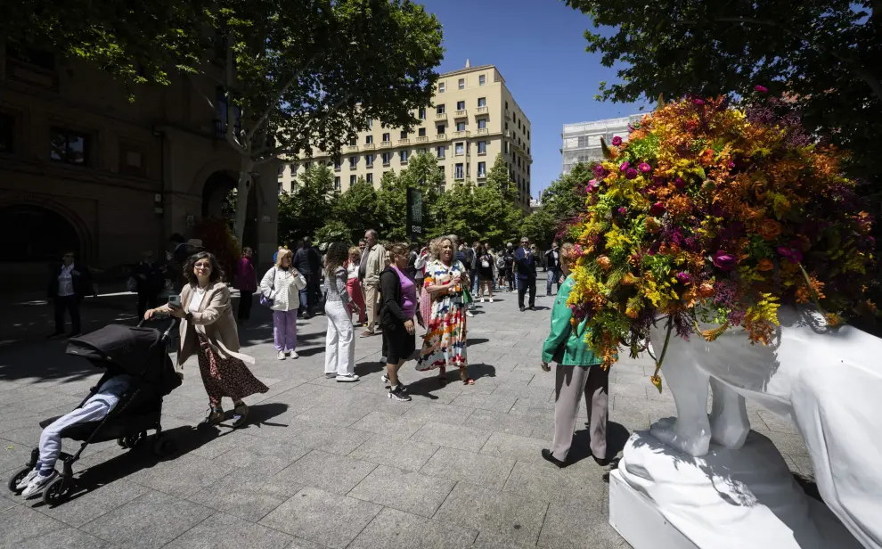 Fotos de la inauguración de los ocho leones de flores y cubos ilustrados en el centro de Zaragoza