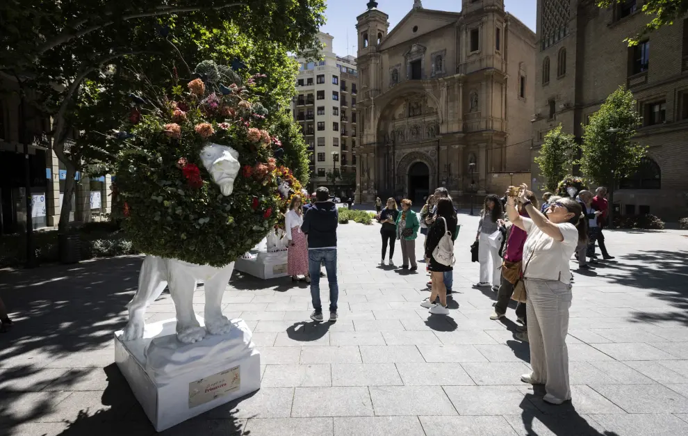Fotos de la inauguración de los ocho leones de flores y cubos ilustrados en el centro de Zaragoza