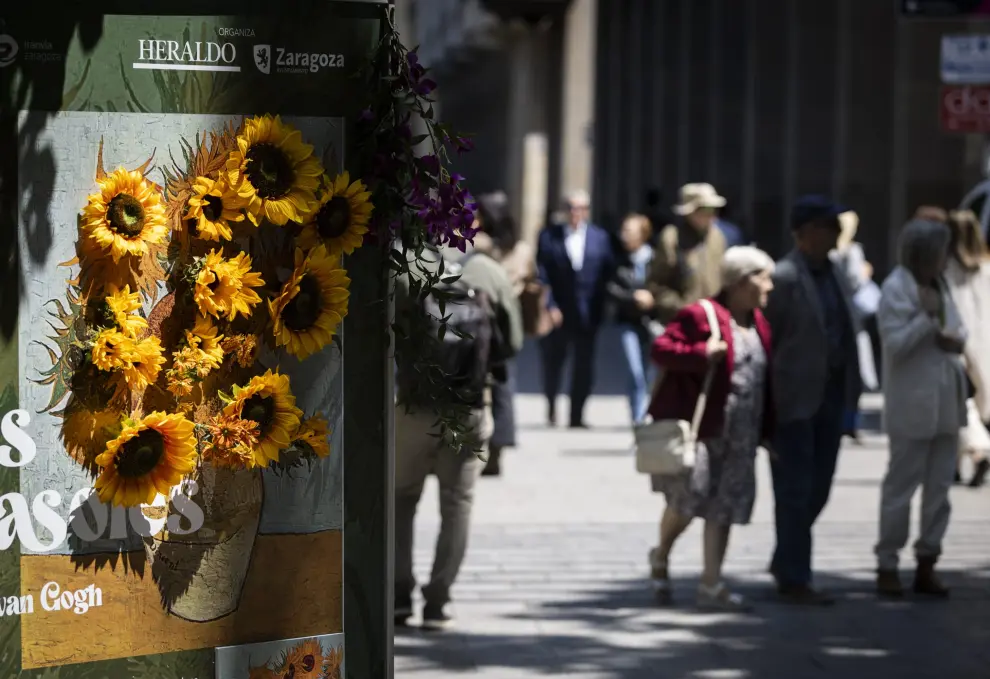 Inauguración de ocho leones de flores y cubos ilustrados en el centro de Zaragoza