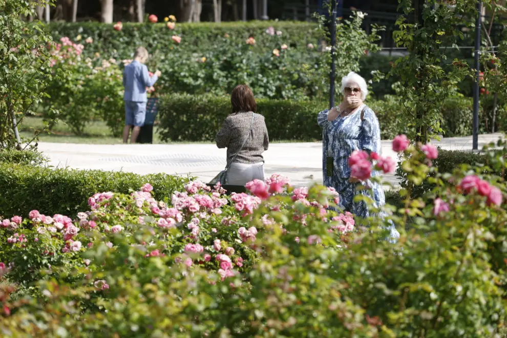 Las flores visten el Parque Grande José Antonio Labordeta en el fin de semana de Zaragoza Florece.