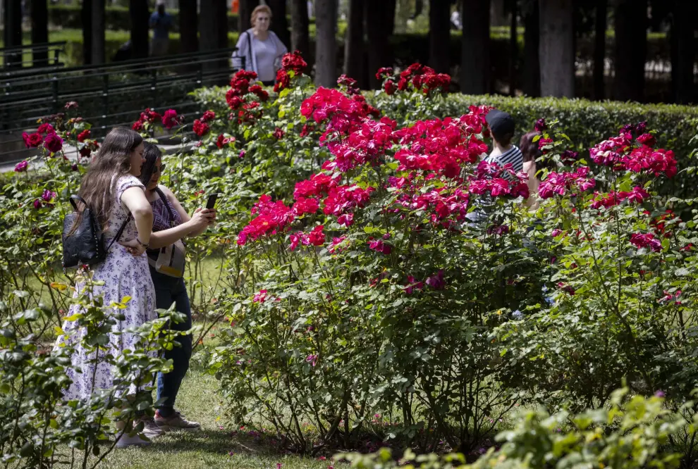 Zaragoza Florece 2024: las flores visten el Parque Grande José Antonio Labordeta