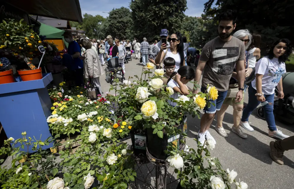 Zaragoza Florece 2024: las flores visten el Parque Grande José Antonio Labordeta